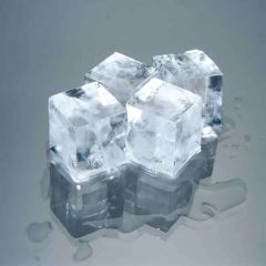 Hoshizaki Küp Buz Makinesi, 210 Kg/gün Kapasiteli IM-240XNE-HC