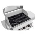 Remta R134 Bahçe Tipi Döküm Barbekü 40x60 Cm LPG